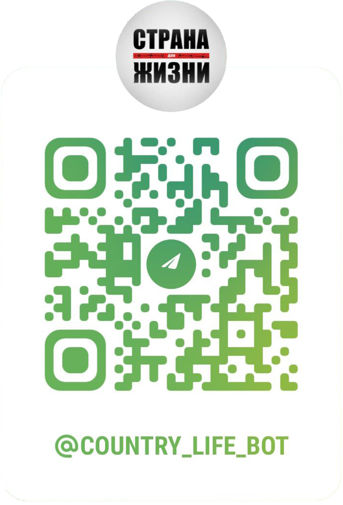 Telegram QR Code